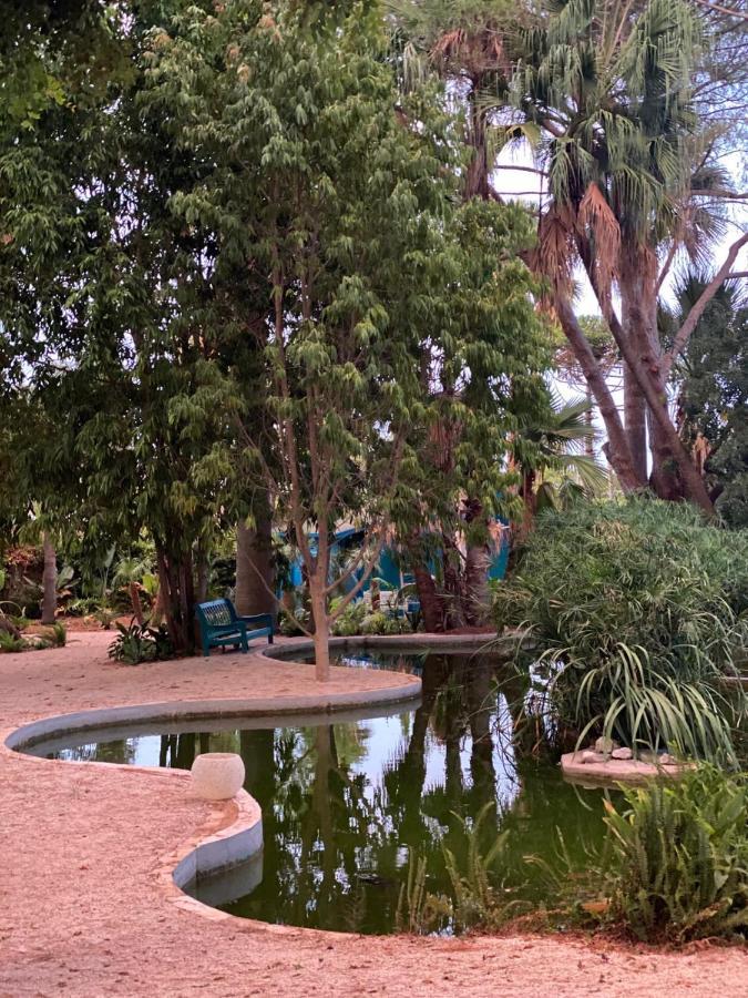 מלון El Botanico De Sagra מראה חיצוני תמונה