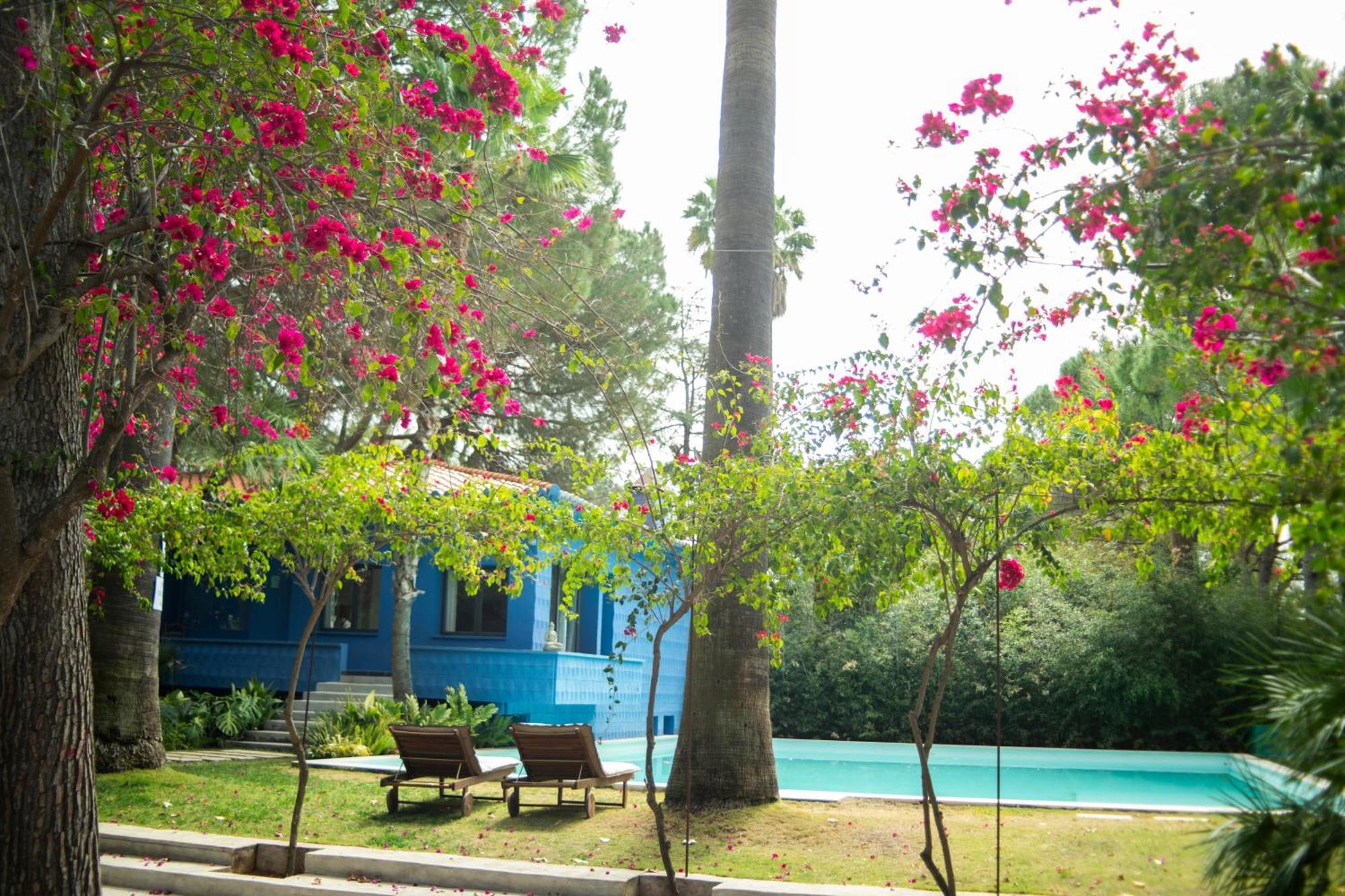 מלון El Botanico De Sagra מראה חיצוני תמונה