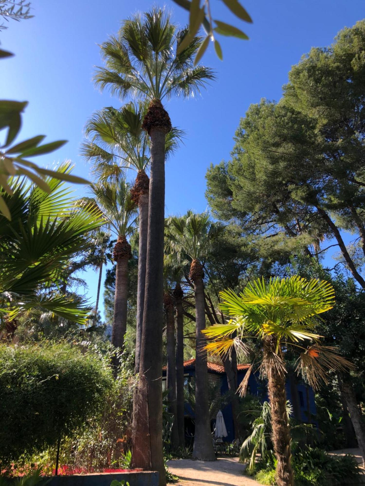 מלון El Botanico De Sagra מראה חיצוני תמונה