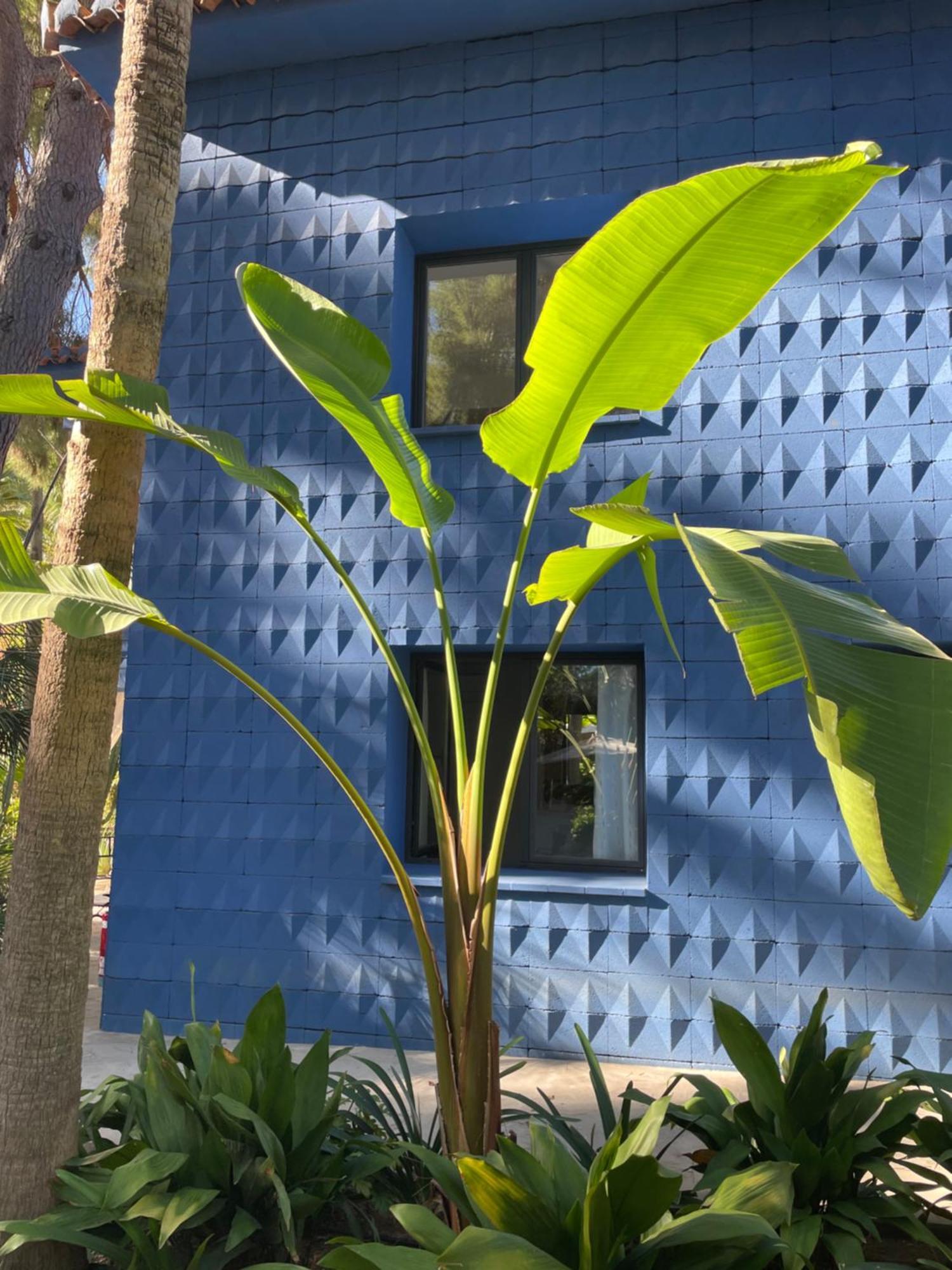 מלון El Botanico De Sagra מראה חיצוני תמונה